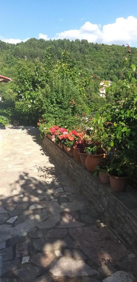 Το Σπίτι Της Ευτυχίας Σουίτα Apartment Karpenisi Luaran gambar