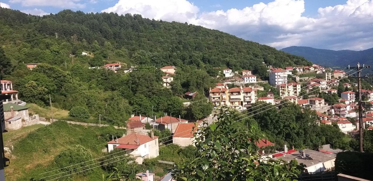 Το Σπίτι Της Ευτυχίας Σουίτα Apartment Karpenisi Luaran gambar